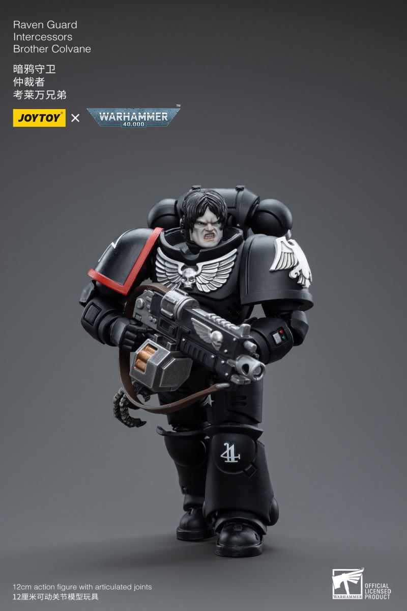 Raven Guard Intercessors Sergeant
