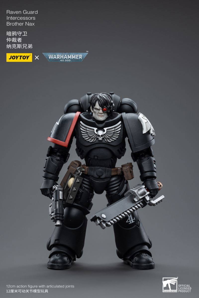 Raven Guard Intercessors Sergeant