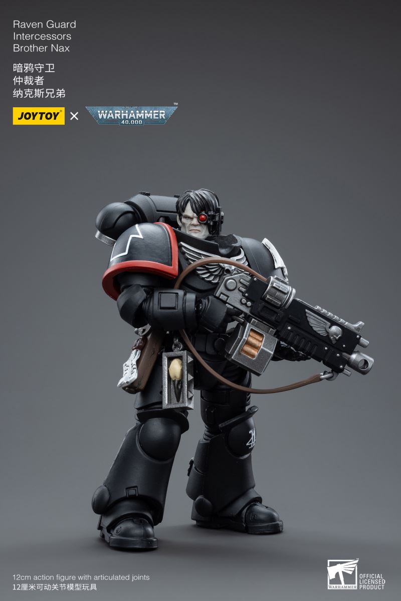 Raven Guard Intercessors Sergeant