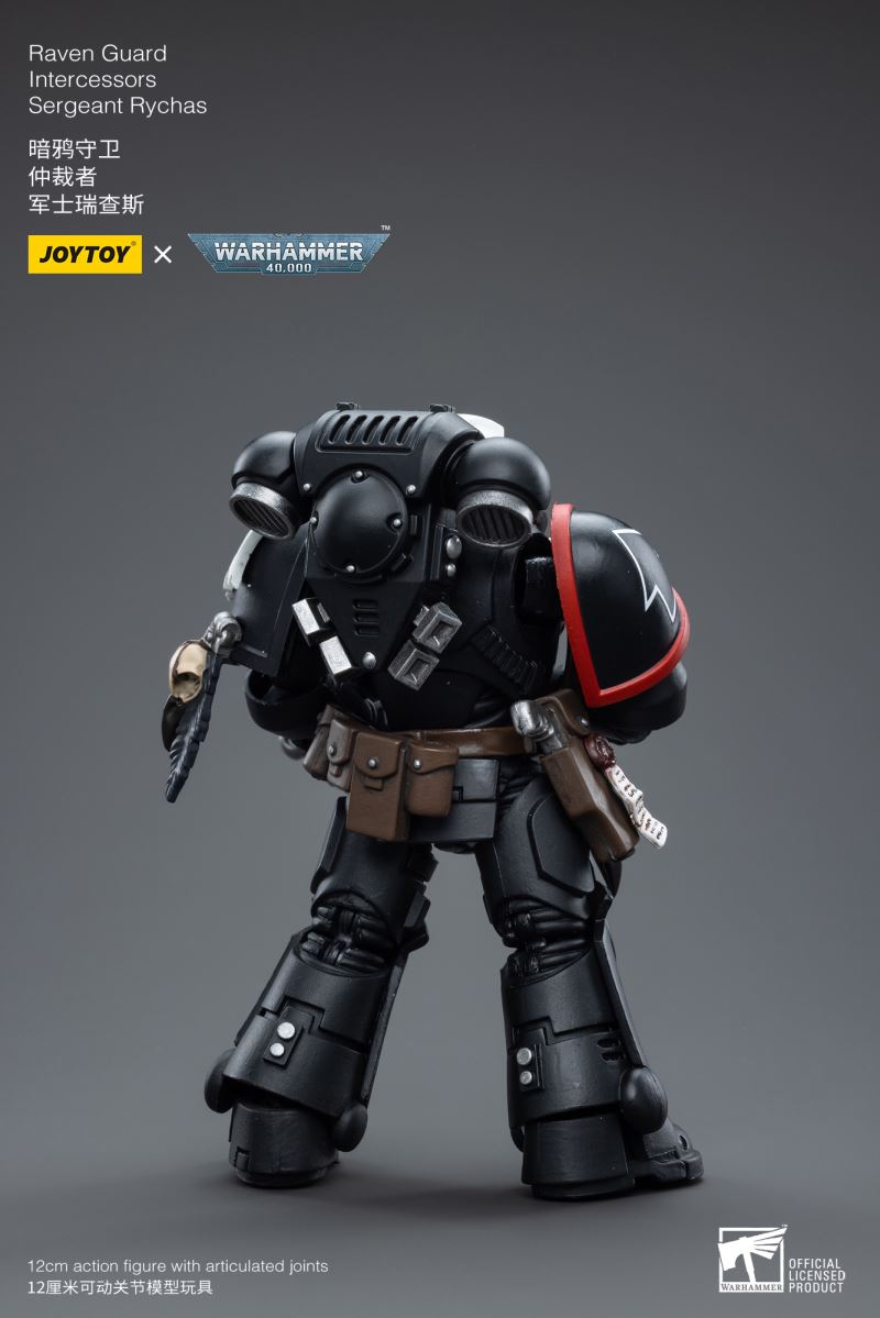 Raven Guard Intercessors Sergeant
