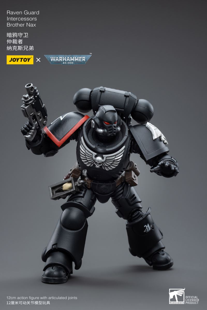 Raven Guard Intercessors Sergeant