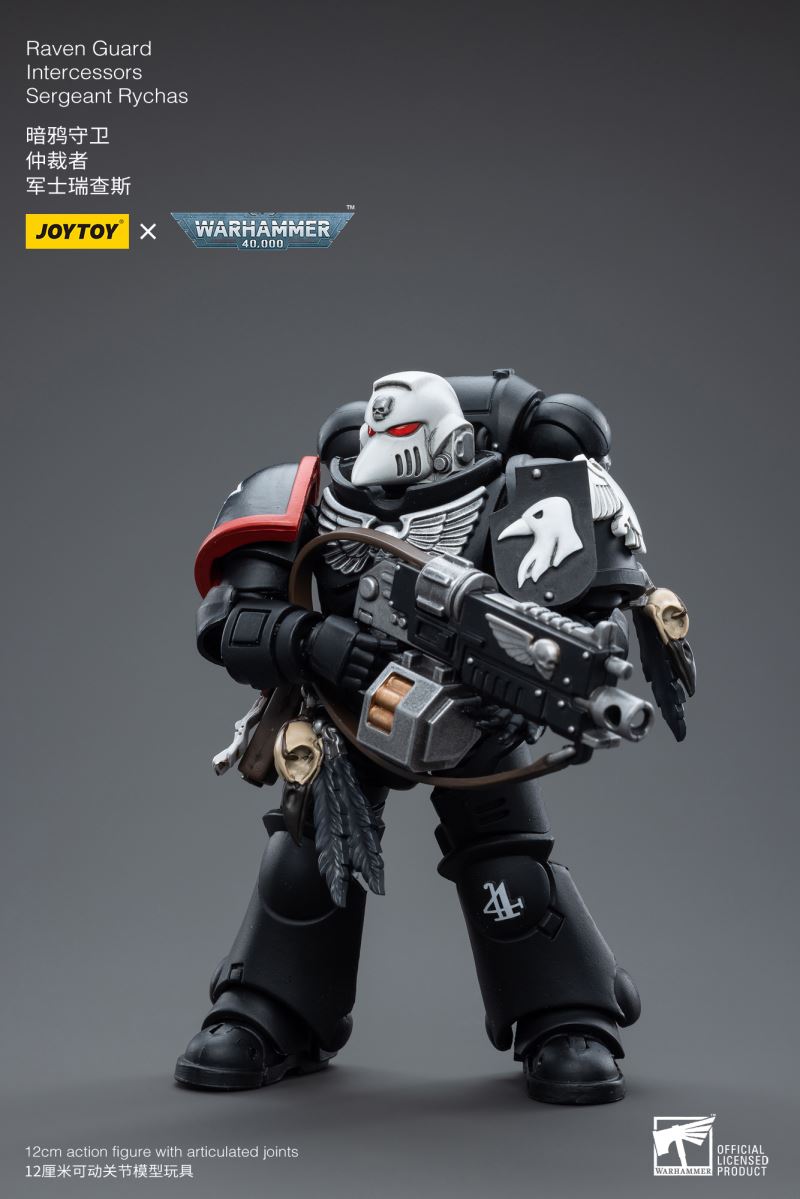 Raven Guard Intercessors Sergeant