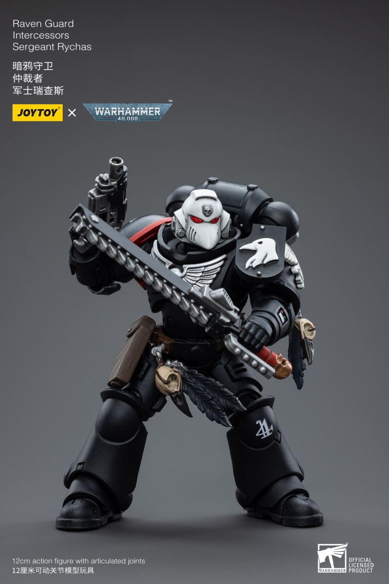 Raven Guard Intercessors Sergeant