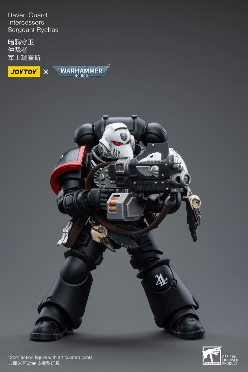Raven Guard Intercessors Sergeant