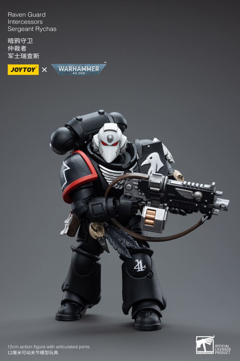 Raven Guard Intercessors Sergeant
