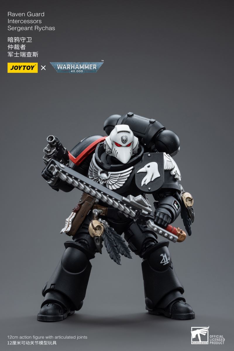 Raven Guard Intercessors Sergeant