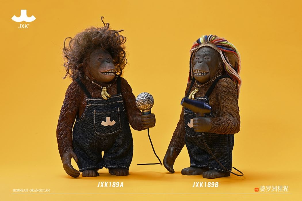 Borneo Orangutan 1/6