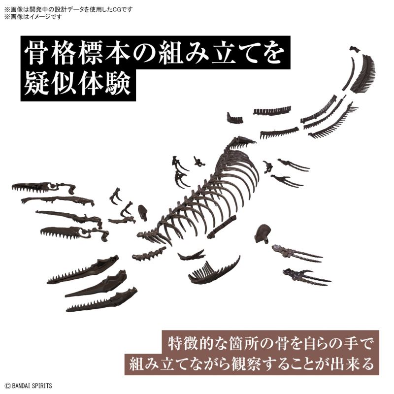 Imaginary Skeleton Mosasaurus 1/32