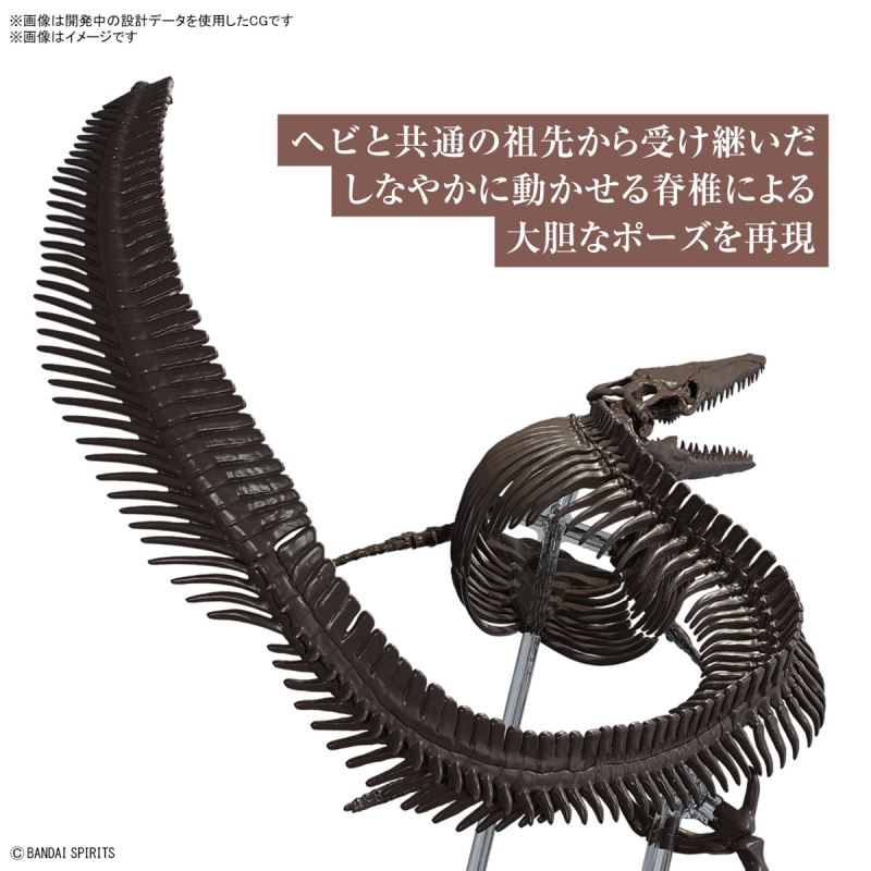 Imaginary Skeleton Mosasaurus 1/32