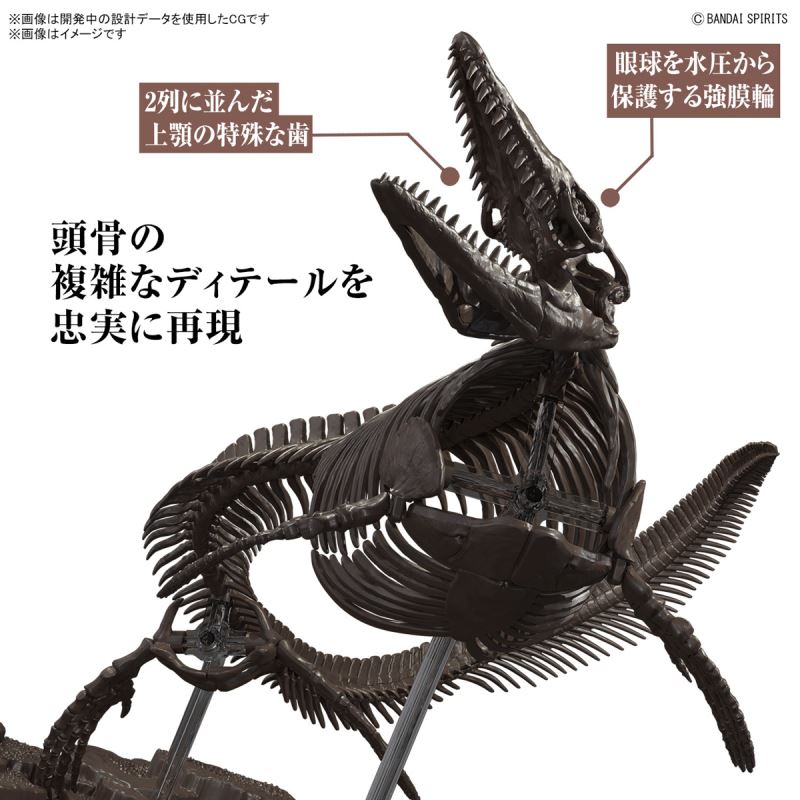 Imaginary Skeleton Mosasaurus 1/32