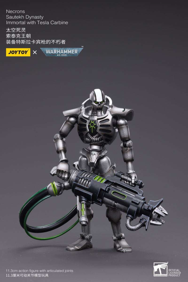 Necrons Sautek Dynasty