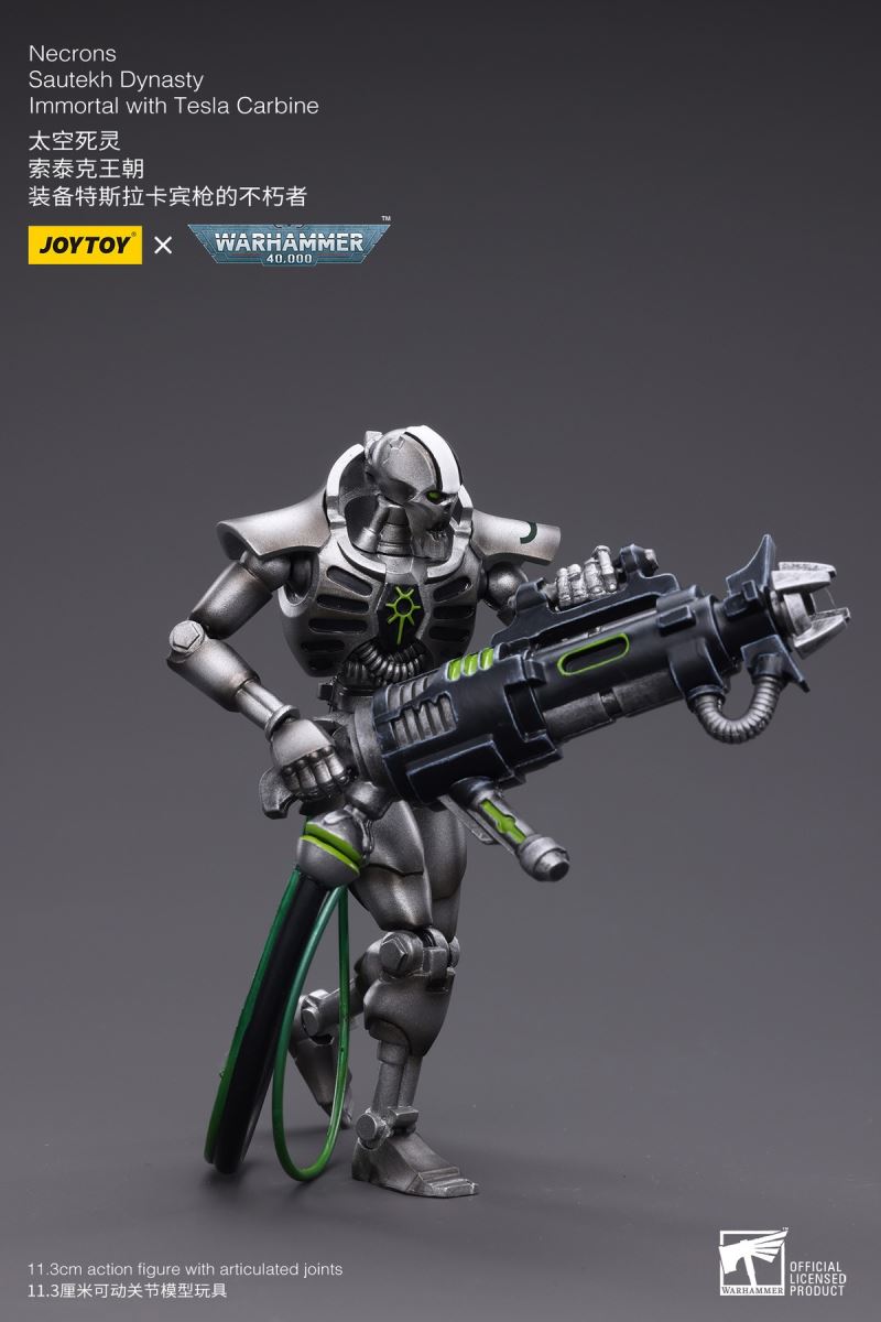 Necrons Sautek Dynasty