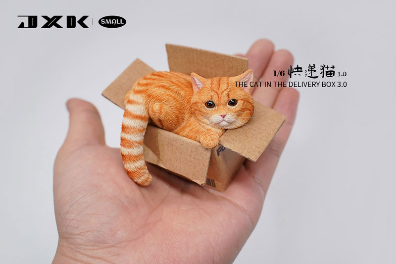 Small Cat in the Cardboard Box 3.0 A