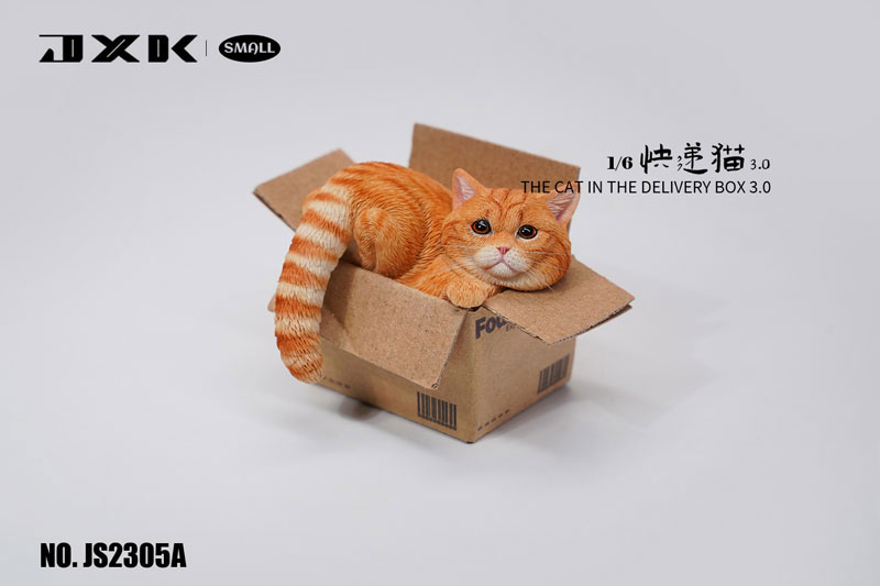 Small Cat in the Cardboard Box 3.0 A