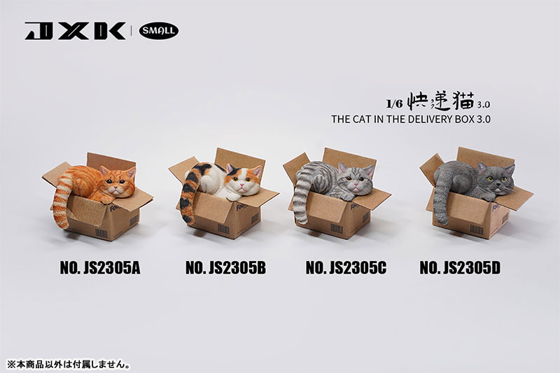 Small Cat in the Cardboard Box 3.0 A