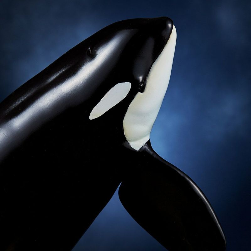 NATURE TALES killer whale and sea lion