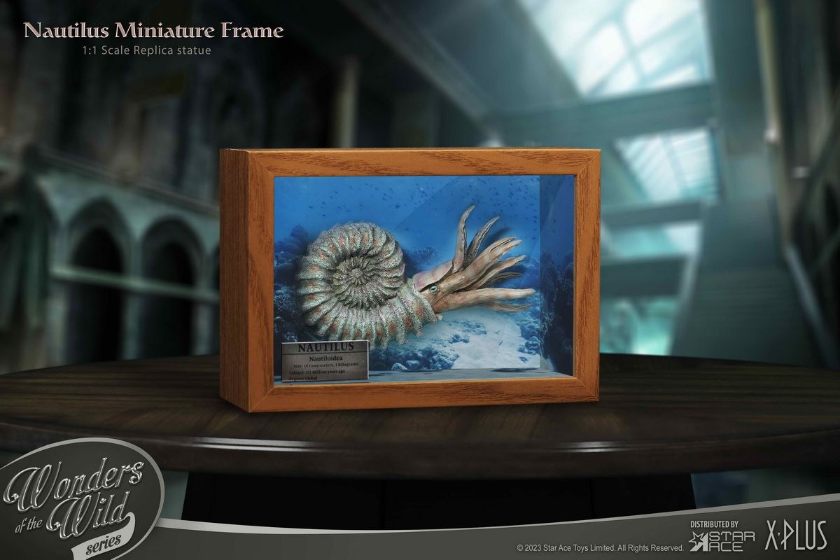 Nautilus & Trilobite