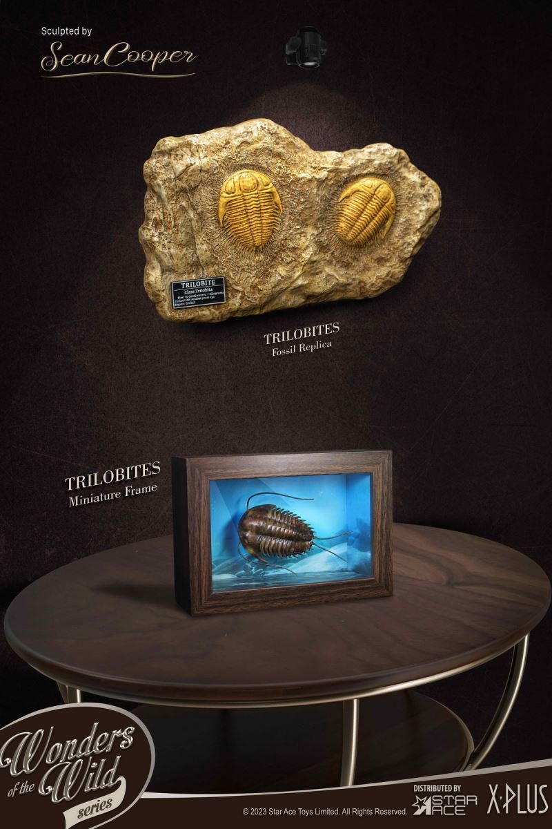 Nautilus & Trilobite