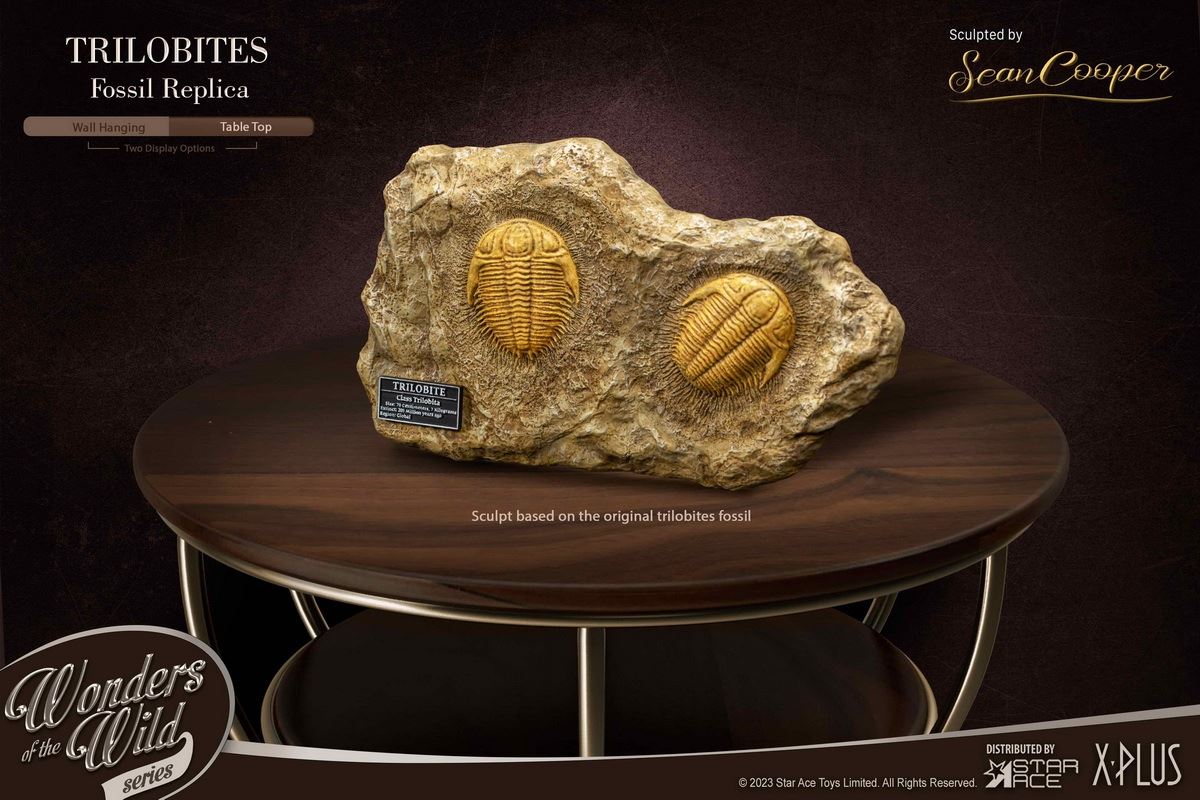 Nautilus & Trilobite