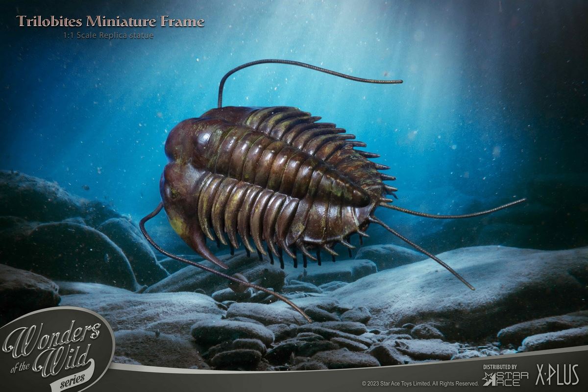Nautilus & Trilobite