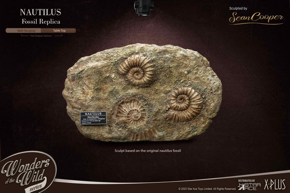 Nautilus & Trilobite