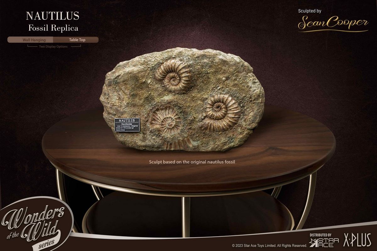 Nautilus & Trilobite