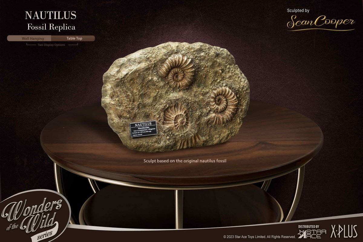 Nautilus & Trilobite