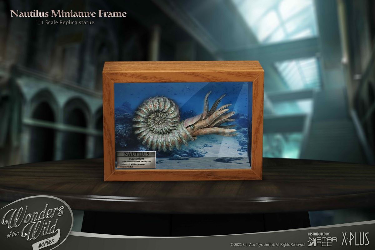 Nautilus & Trilobite