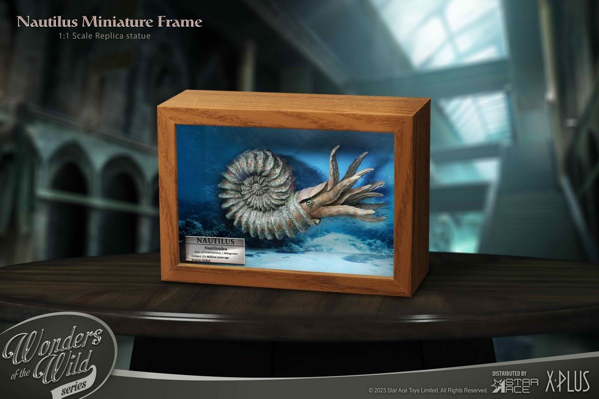 Nautilus & Trilobite