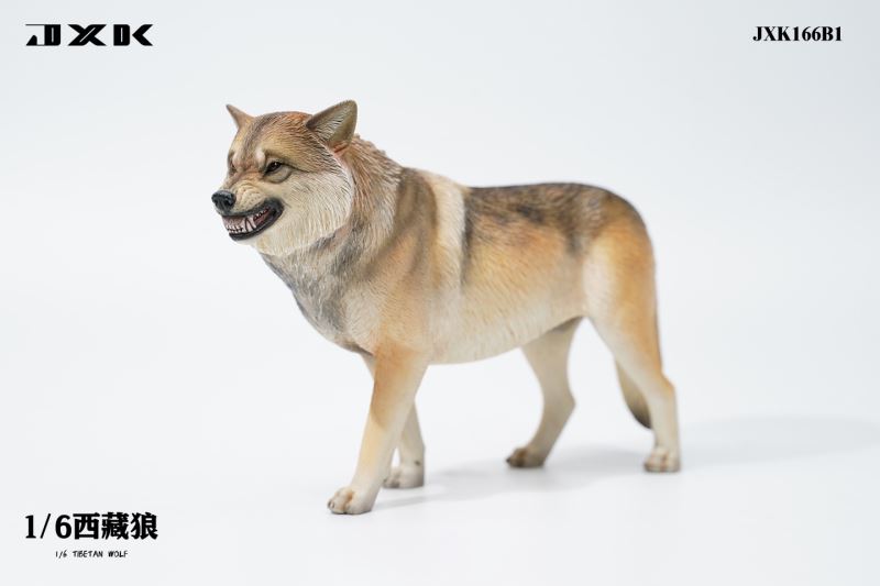 Tibetan Wolf 1/6