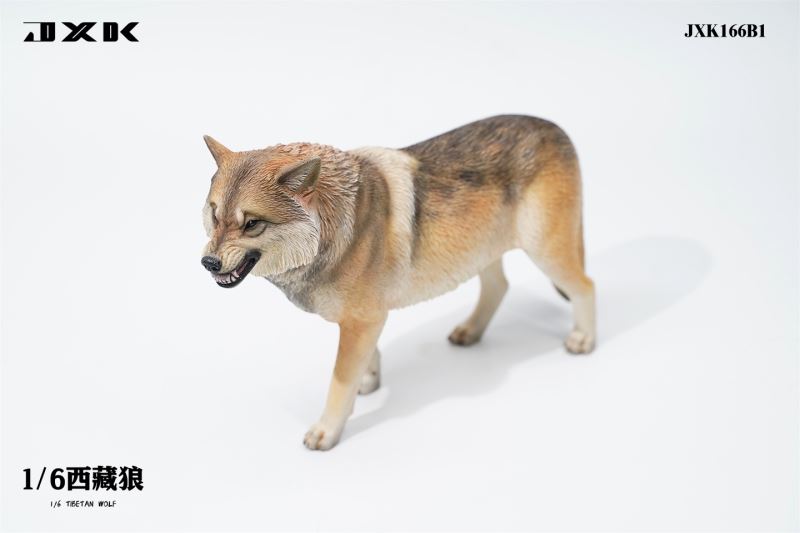 Tibetan Wolf 1/6