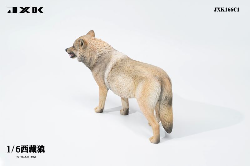 Tibetan Wolf 1/6
