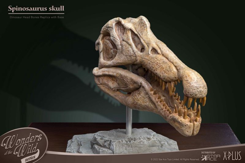 Wonder Wild Series Statue - Tyrannosaurus / Spinosaurus Skull Fossil