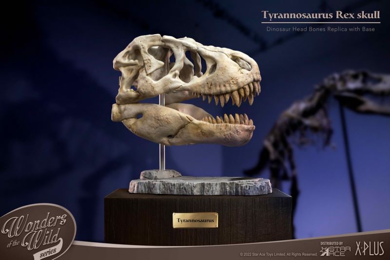 Wonder Wild Series Statue - Tyrannosaurus / Spinosaurus Skull Fossil