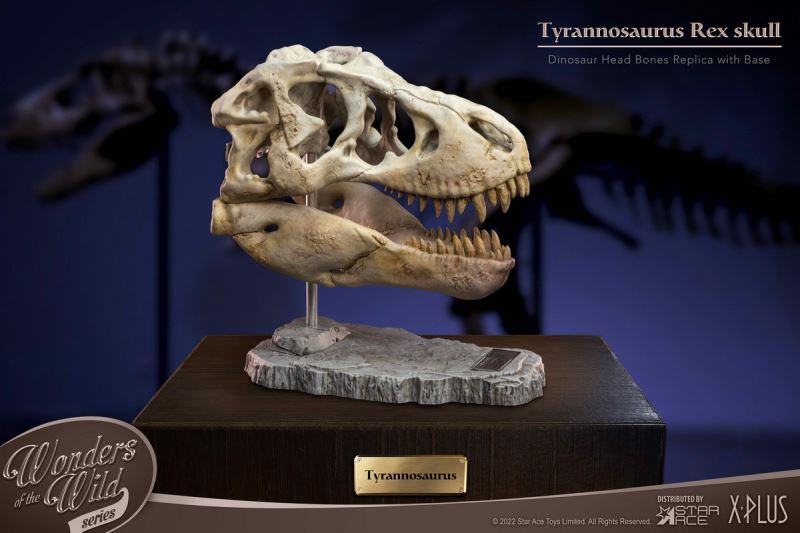 Wonder Wild Series Statue - Tyrannosaurus / Spinosaurus Skull Fossil