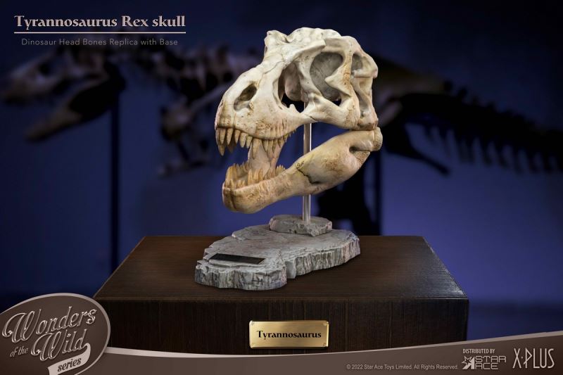 Wonder Wild Series Statue - Tyrannosaurus / Spinosaurus Skull Fossil