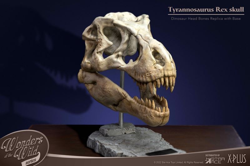 Wonder Wild Series Statue - Tyrannosaurus / Spinosaurus Skull Fossil