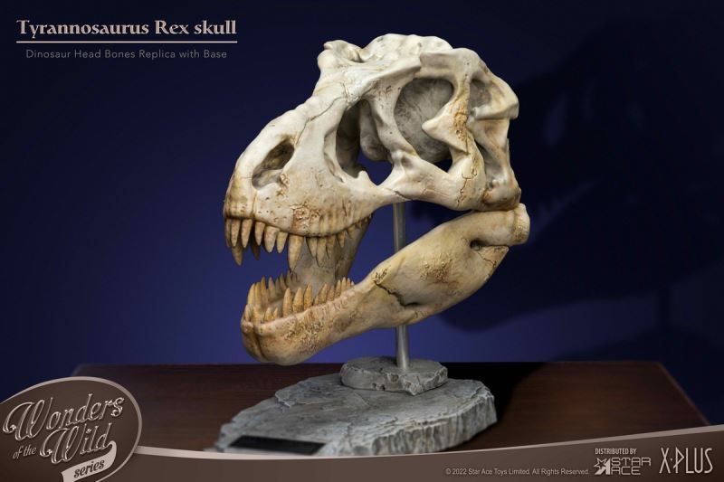 Wonder Wild Series Statue - Tyrannosaurus / Spinosaurus Skull Fossil