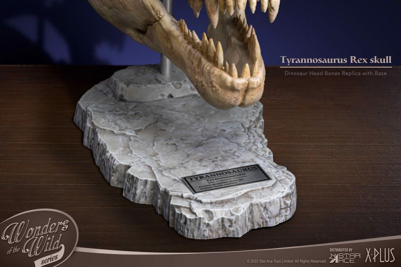 Wonder Wild Series Statue - Tyrannosaurus / Spinosaurus Skull Fossil