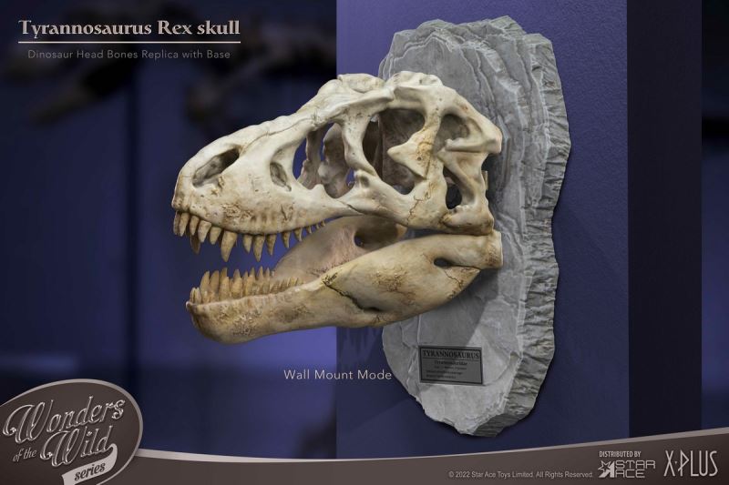 Wonder Wild Series Statue - Tyrannosaurus / Spinosaurus Skull Fossil