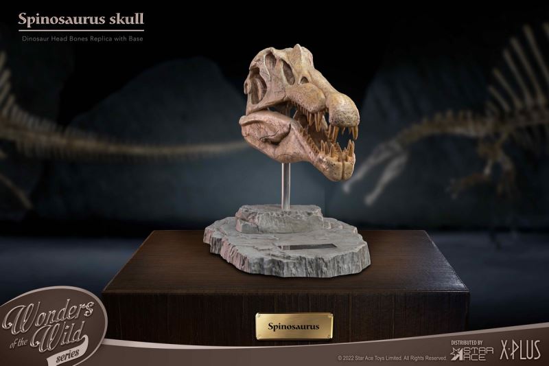 Wonder Wild Series Statue - Tyrannosaurus / Spinosaurus Skull Fossil