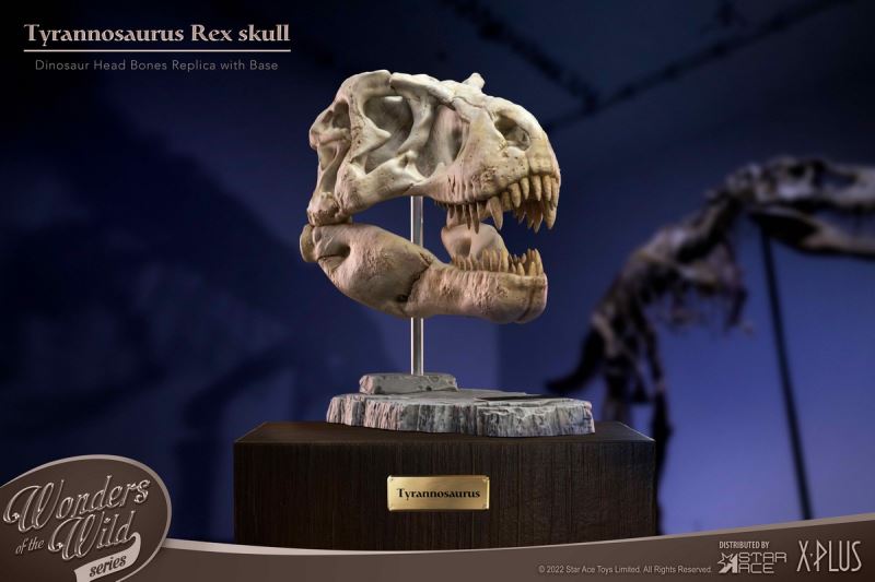 Wonder Wild Series Statue - Tyrannosaurus / Spinosaurus Skull Fossil