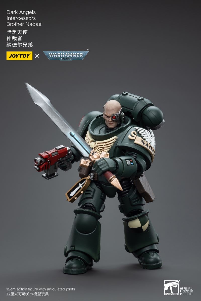 Dark Angel 1/18