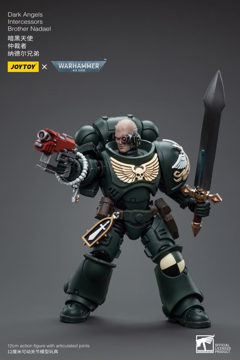 Dark Angel 1/18