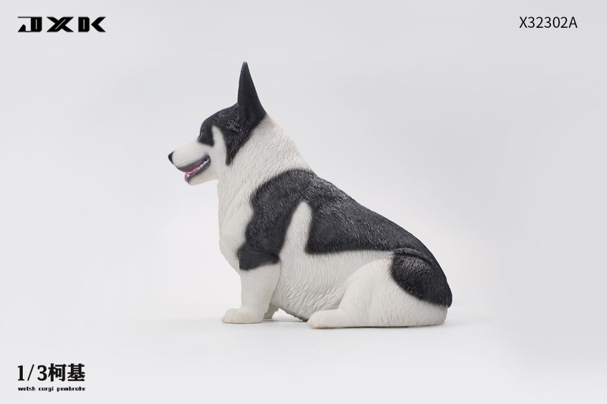 Corgi (X32302) 1/3