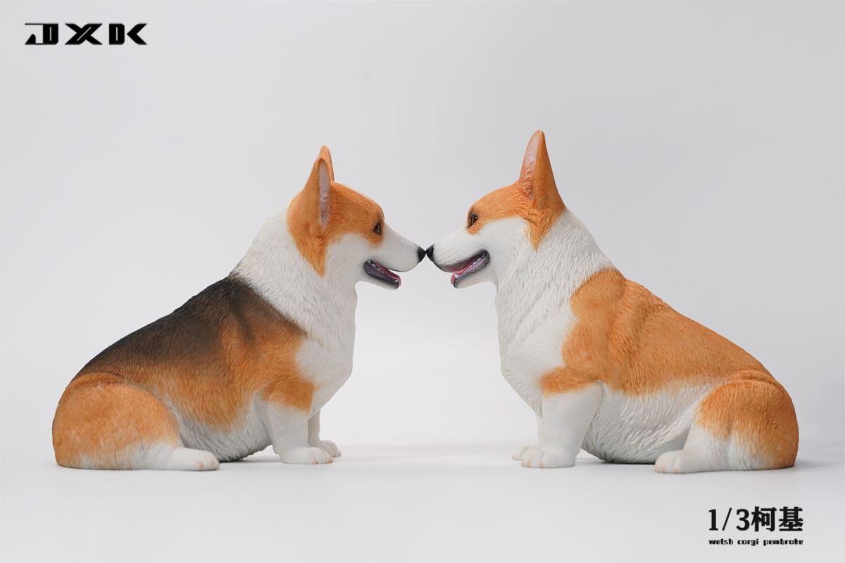 Corgi (X32302) 1/3