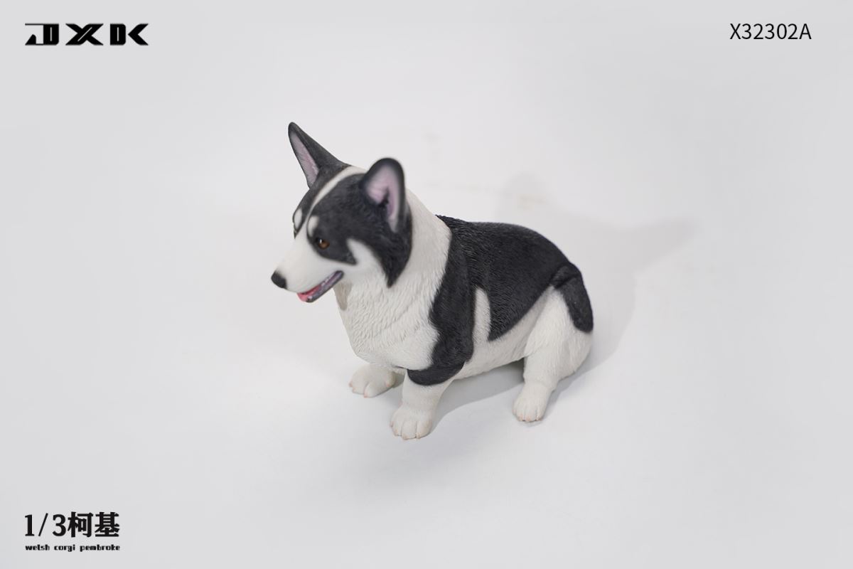 Corgi (X32302) 1/3