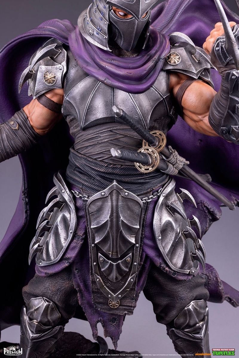 Teenage Mutant Ninja Turtles: Age of Mutants - Shredder 1/3