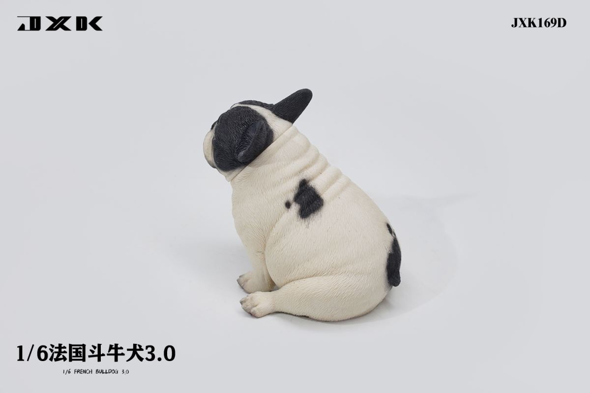 French Bulldog 3.0 (JXK169) 1/6