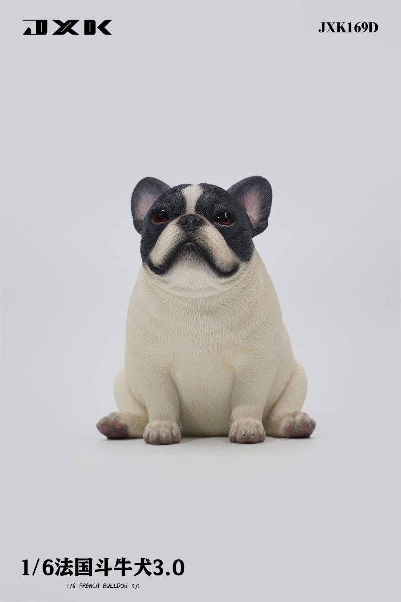 French Bulldog 3.0 (JXK169) 1/6